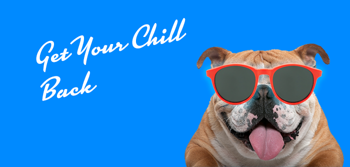 Company Mascot Bulldog